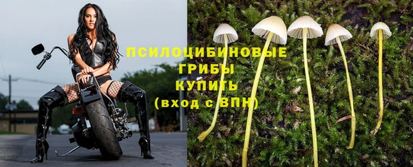 прущие крисы Армянск