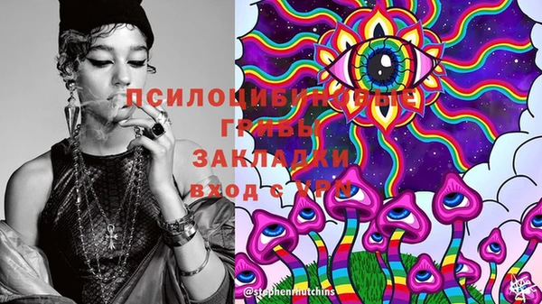 дмт Алзамай