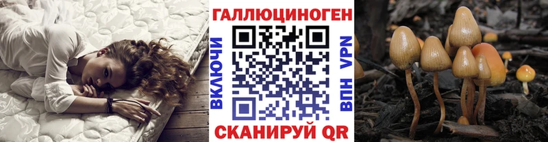 Псилоцибиновые грибы Cubensis Таруса