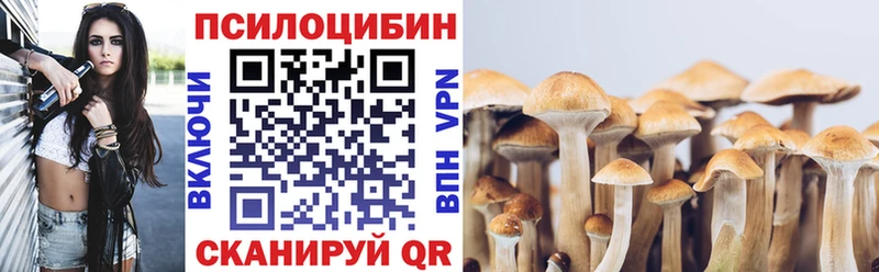 Псилоцибиновые грибы Magic Shrooms Таруса